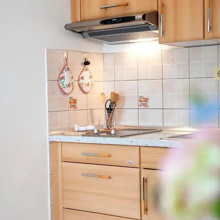 Apartment Maxi *